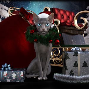 Christmas Cat adj resize