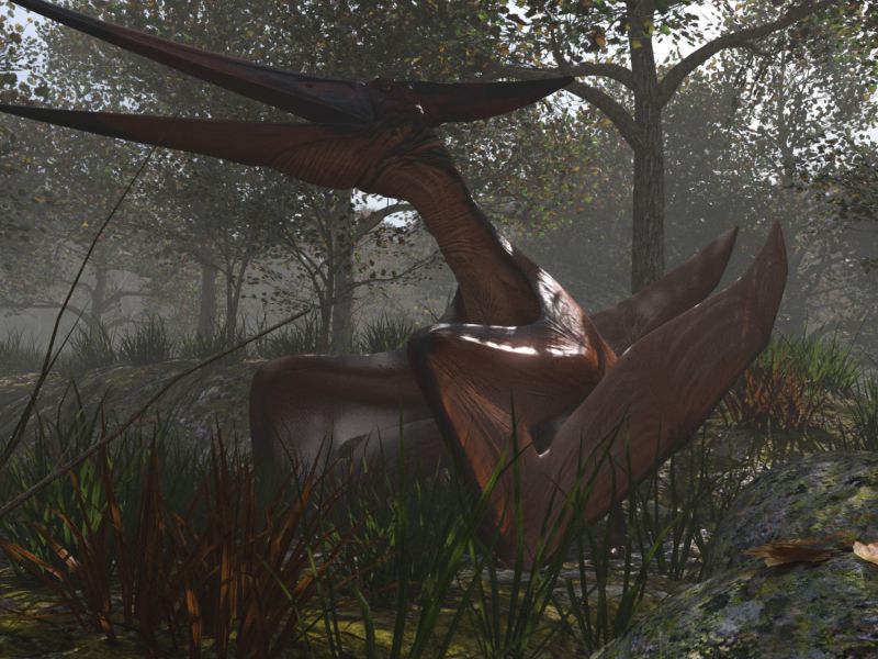 Pteranodon